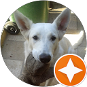 Alejandra B. profile picture